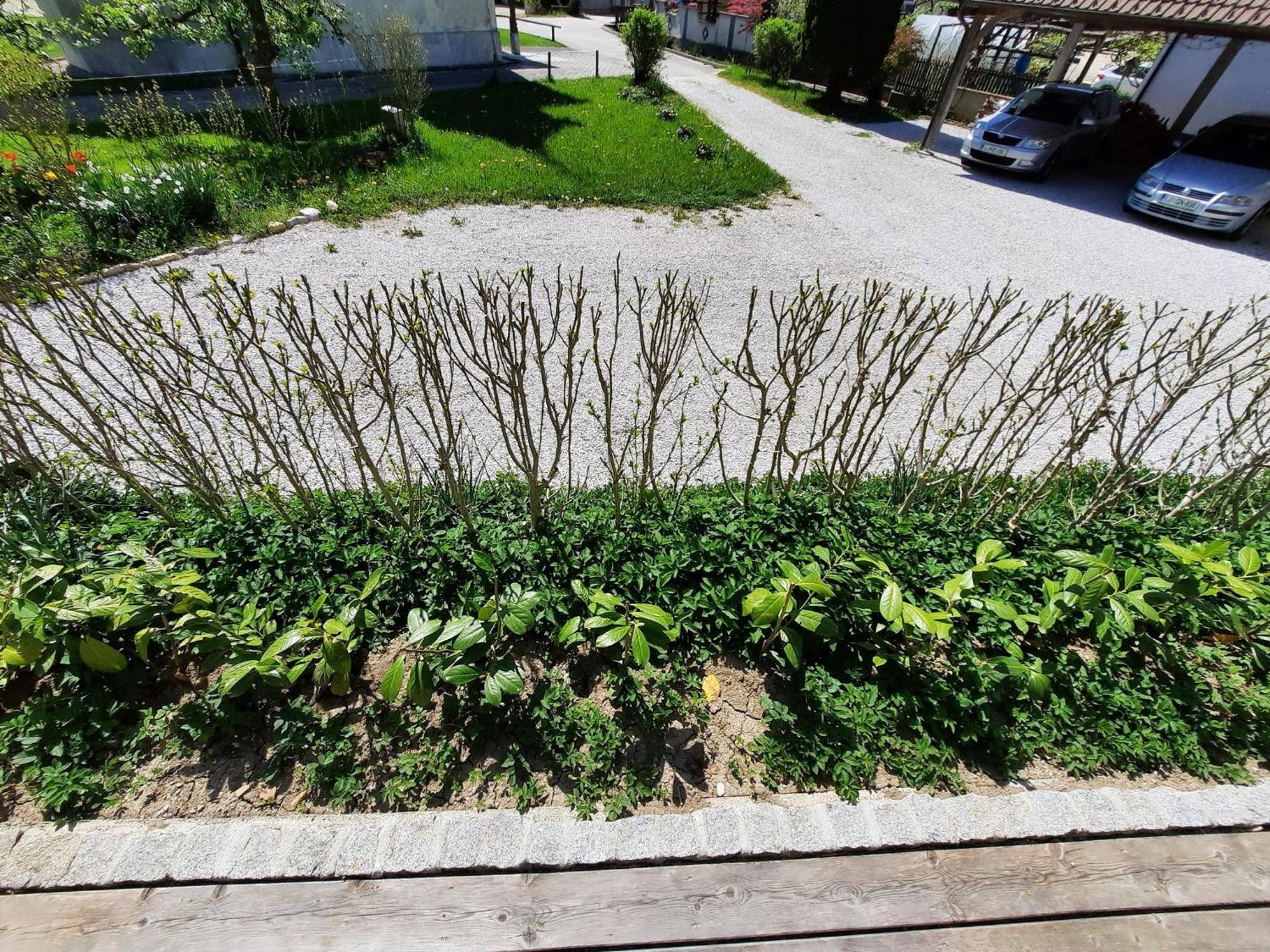 Apartment Alpipond カムニーク エクステリア 写真